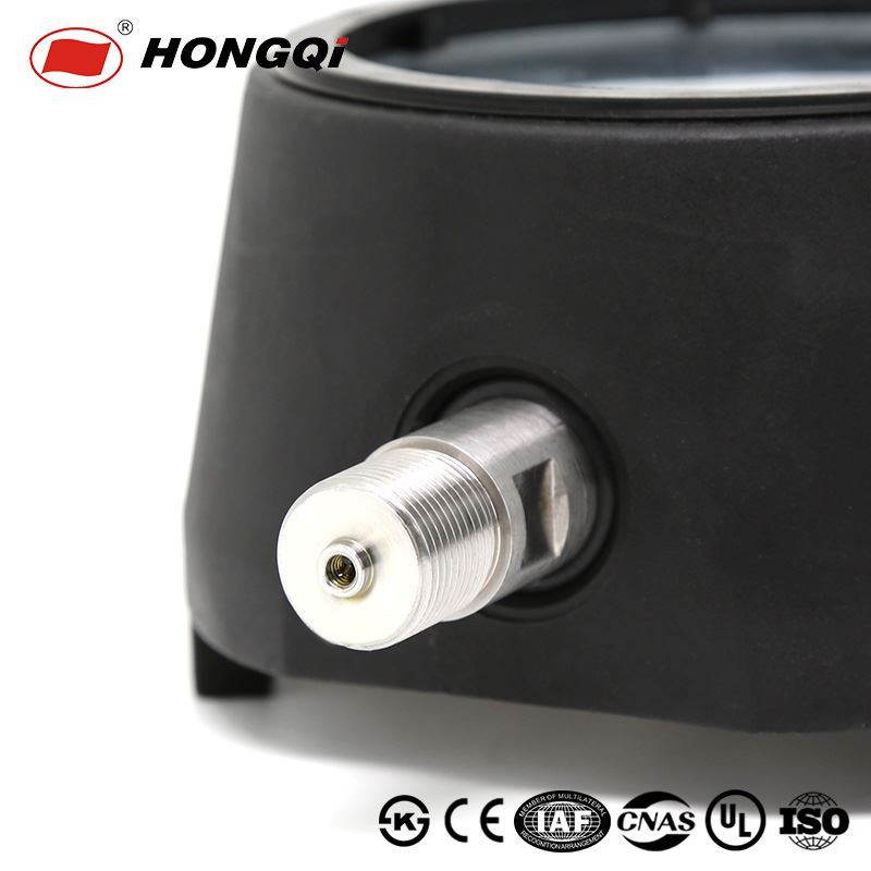 Professional Heavy Process Instrument Gauge