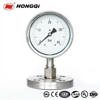 স্টেইনলেস স্টিল ডায়াফ্রাম প্রেসার গেজ